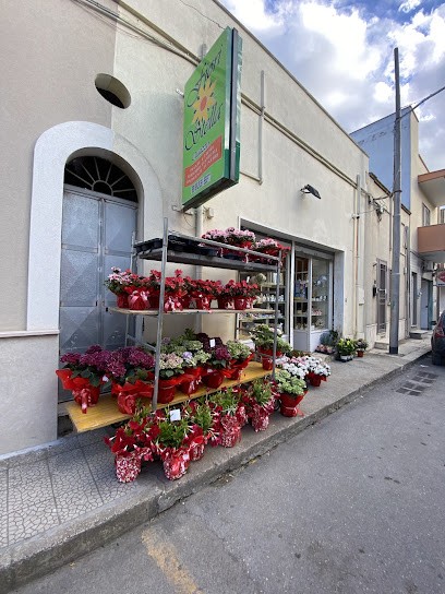 Fiori Stella - Agenzia Funebre Caiazzo, Fiorista a Lizzano