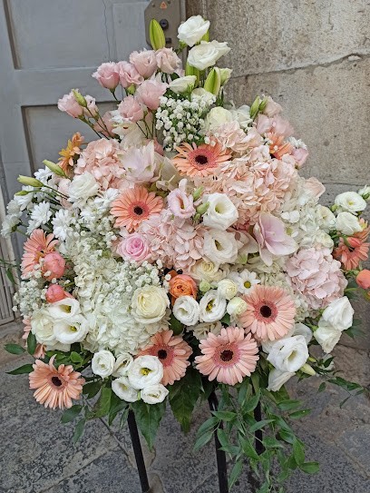 Fiorista Paola Mastrangelo, Fiorista a Lucera