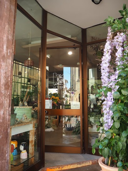 La Torre Flower Shop, Fiorista a Castelfranco Veneto