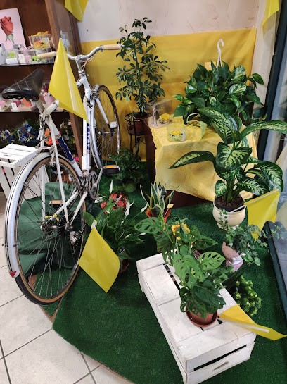 La Bottega Dei Fiori, Fiorista a Dicomano