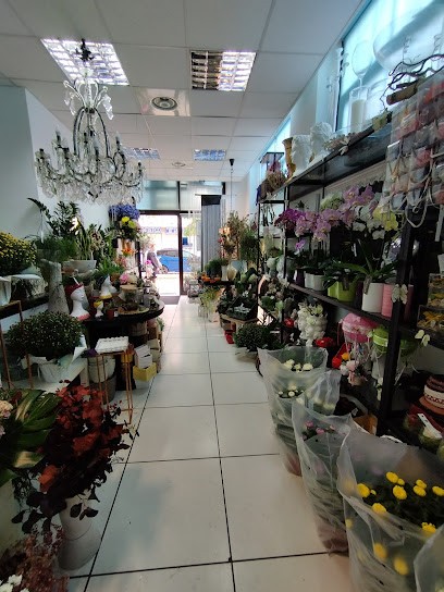 Verde Idea, Fiorista a Novara