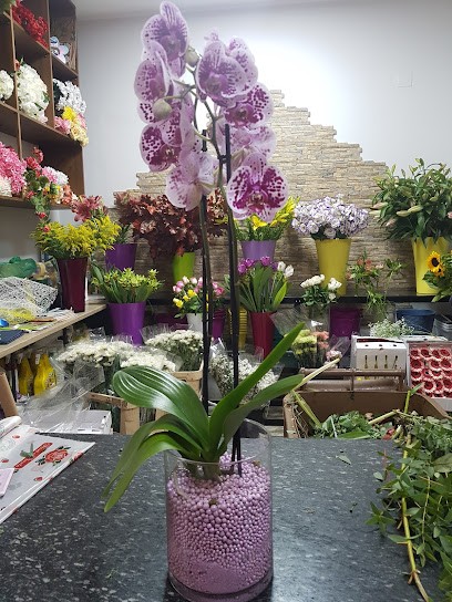 Piante E Fiori Da Ciro, Fiorista a Potenza