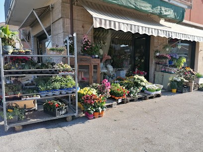 Fiorista Bonfatti Milena, Fiorista a San Giuseppe Vesuviano