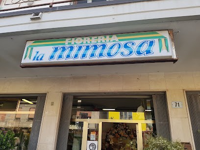Fioreria La Mimosa Di Pregnolato Stefania, Fiorista a Taglio di Po