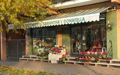 Tacchetti Fiori Di Severi Samantha, Fiorista a Rubiera