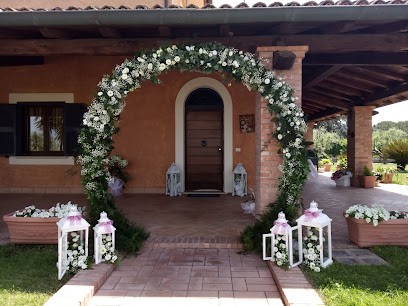 Plants And Flowers, Fiorista a Roma