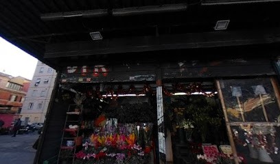 Fiori & Piante Ashraf, Fiorista a Roma