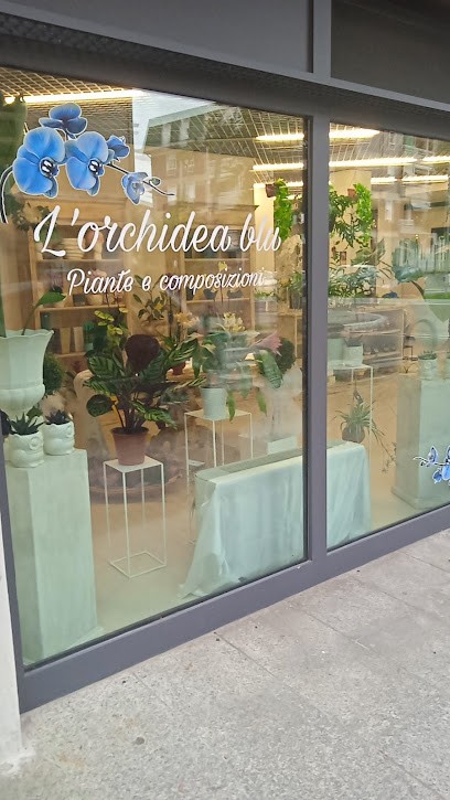 L’orchidea Blu Fiori E Creazioni, Fiorista a Casalgrande