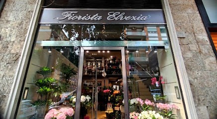 Fiorista Elvezia, Fiorista a Roma