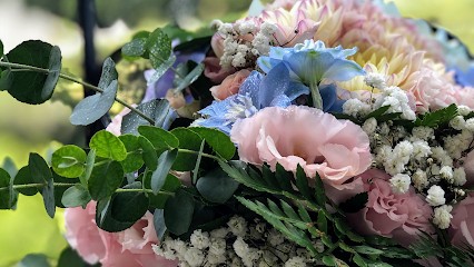 Il Mondo Di Elisa, Fiorista a Mammola