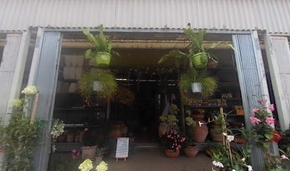 Agraria F.C. - Fiori E Composizioni, Piante E Giardinaggio, Fiorista a Viareggio