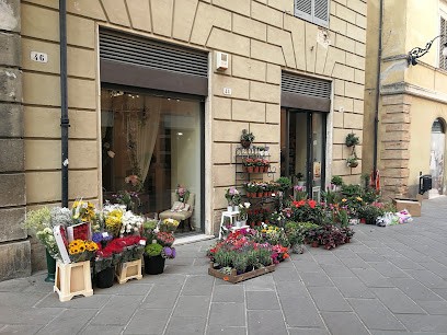FloraDecor, Fiorista a Spoleto