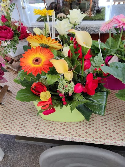 Il Platano Fiori, Fiorista a Rivoli