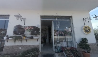 Momenti Fioriti, Fiorista a Orosei