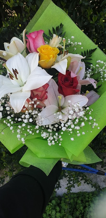 Artiflor Di Maestri Stefano, Fiorista a Pavia