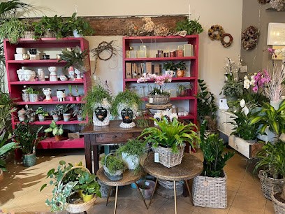 Il Fiore Di Maynard Maria Veronica, Fiorista a Modena