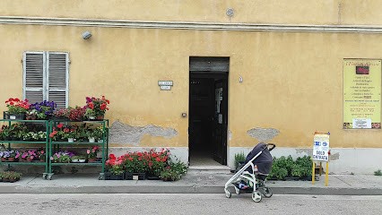 I Fiori Di Alessia Snc Di Murgese Anna Maria E Mecozzi Nada, Fiorista a Pedaso