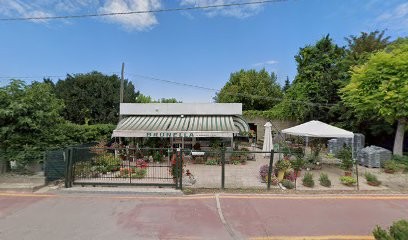 Dallolio Maria Brunella, Fiorista a Mantova