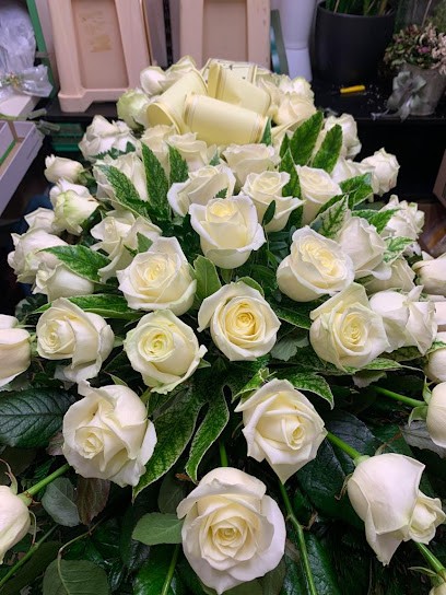 Fioreria Bergamin, Fiorista a Piazzola sul Brenta