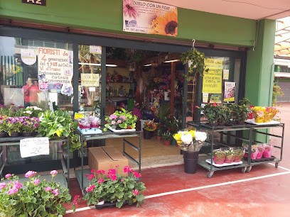 Ditelo Con Un Fiore Di Silvio E Lucia, Fiorista a Roma