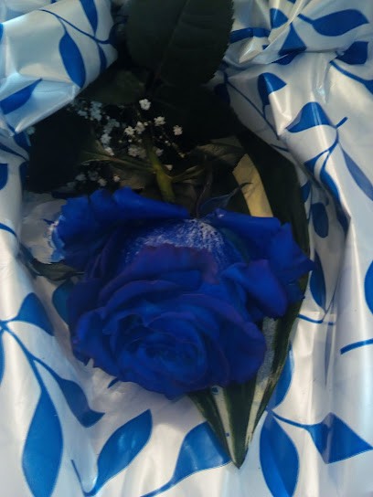 Fioreria Di Bonfante Claudia, Fiorista a Villa Bartolomea