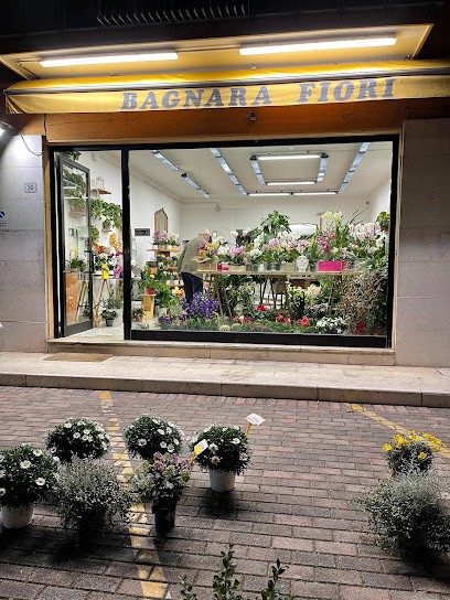 Fioreria Bagnara - Orchidee, Piante & Fiori Freschi, Fiorista a Cassola