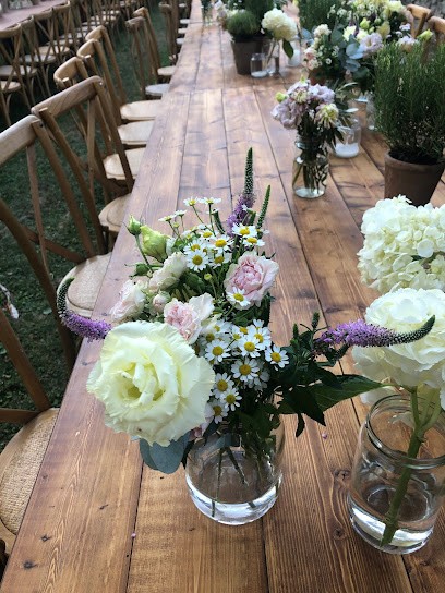 Il Bouquet Di Carla Tozzi & Silvia Fiorenzani Snc, Fiorista a Siena