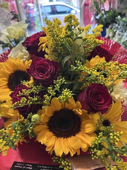 Magic Garden, Fiorista a Lamezia Terme