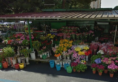 L'Angolo Dei Fiori, Fiorista a Palermo