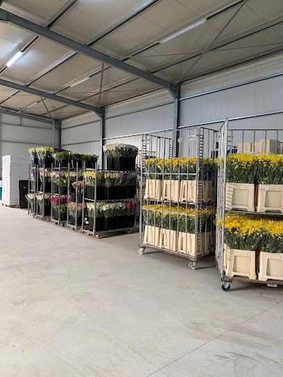 Fiori Del Vesuvio, Fiorista a Pompei