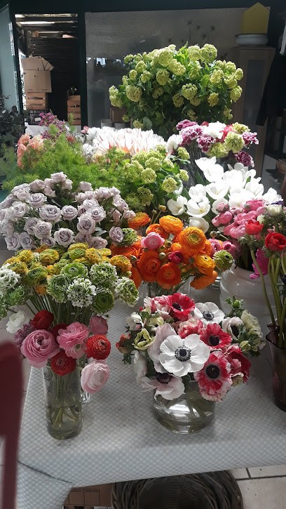 Antonio Nocchi The Art Of Flowers, Fiorista a Roma