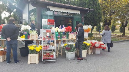 Maninifiori S.A.S, Fiorista a Vittuone