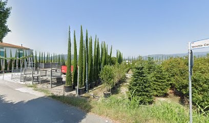 Vivai Piante Bani Angelo, Fiorista a Pistoia