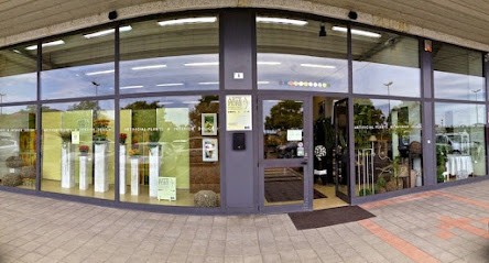 Arte Fiore S.n.c., Fiorista a Savignano sul Rubicone