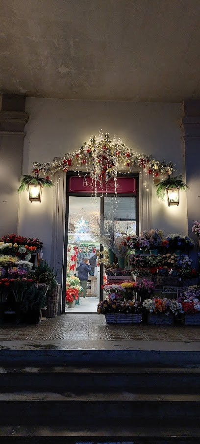 Bacca Rosa Fioristi, Fiorista a Firenze