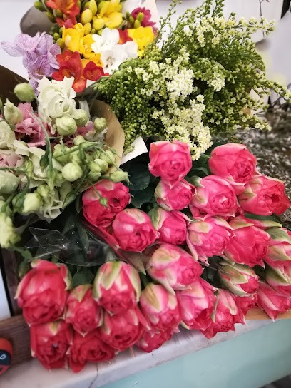 Abburà Giacomo Snc Di Abburà Giovanni & Marco, Fiorista a Torino