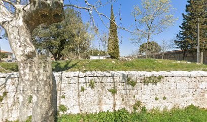 Fiori E Piante Di Ghelli Franca, Fiorista a Massa Marittima