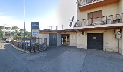 Mingarelli Vanessa, Fiorista a Frosinone