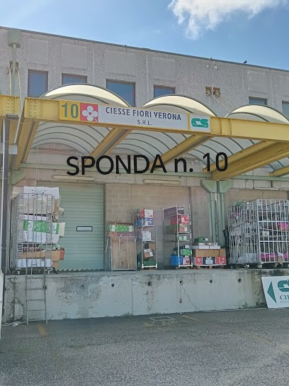 C.s. Fiori Verona S.r.l, Fiorista a Verona