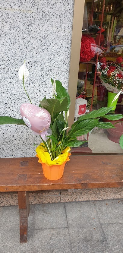 Ikebana Di Usseglio Savoia L. & Di Baldi N. (S.N.C.), Fiorista a Giaveno