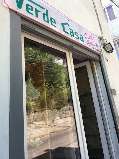 Fiori E Piante Verde Casa Di Soldi Luana, Fiorista a Avigliano