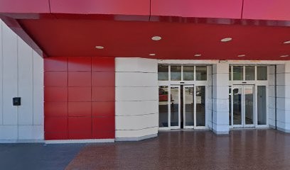 Fiorin Fiorello E Tre, Fiorista a Cologna Veneta