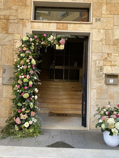 Santé foglie di Cecca Carlo, Fiorista a Santeramo in Colle
