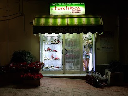 L'Orchidea di Leto Giuseppina, Fiorista a Montemaggiore Belsito