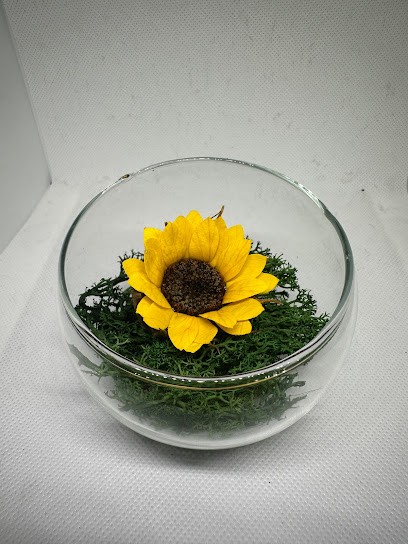 Bia Bia, Fiorista a Macomer