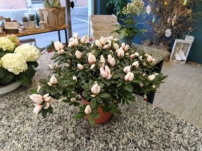 L'Angolo Del Fiore Di Fornara Sabrina, Fiorista a Borgomanero