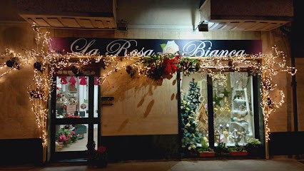 La Rosa Bianca Di Roberta Forasacco, Fiorista a Leini