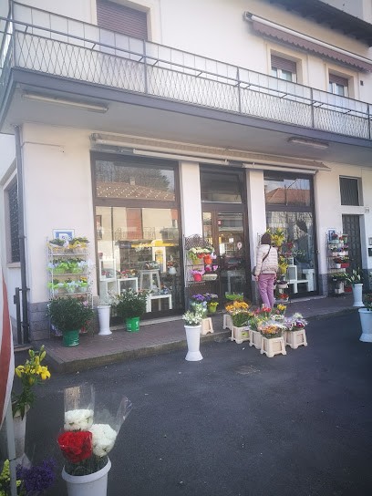 Niky Flor, Fiorista a Varese