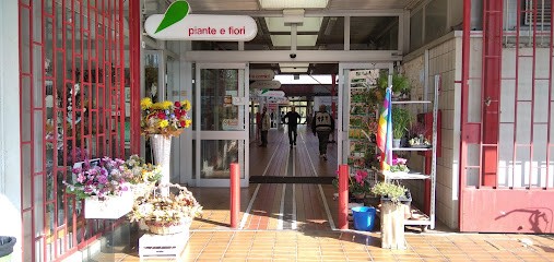 Fiori E Decori Di Sacchetti Marika, Fiorista a Bologna