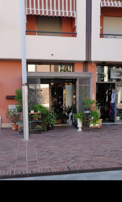 Fioreria Elleboro Di Siriana Gazzilli, Fiorista a Montelupo Fiorentino